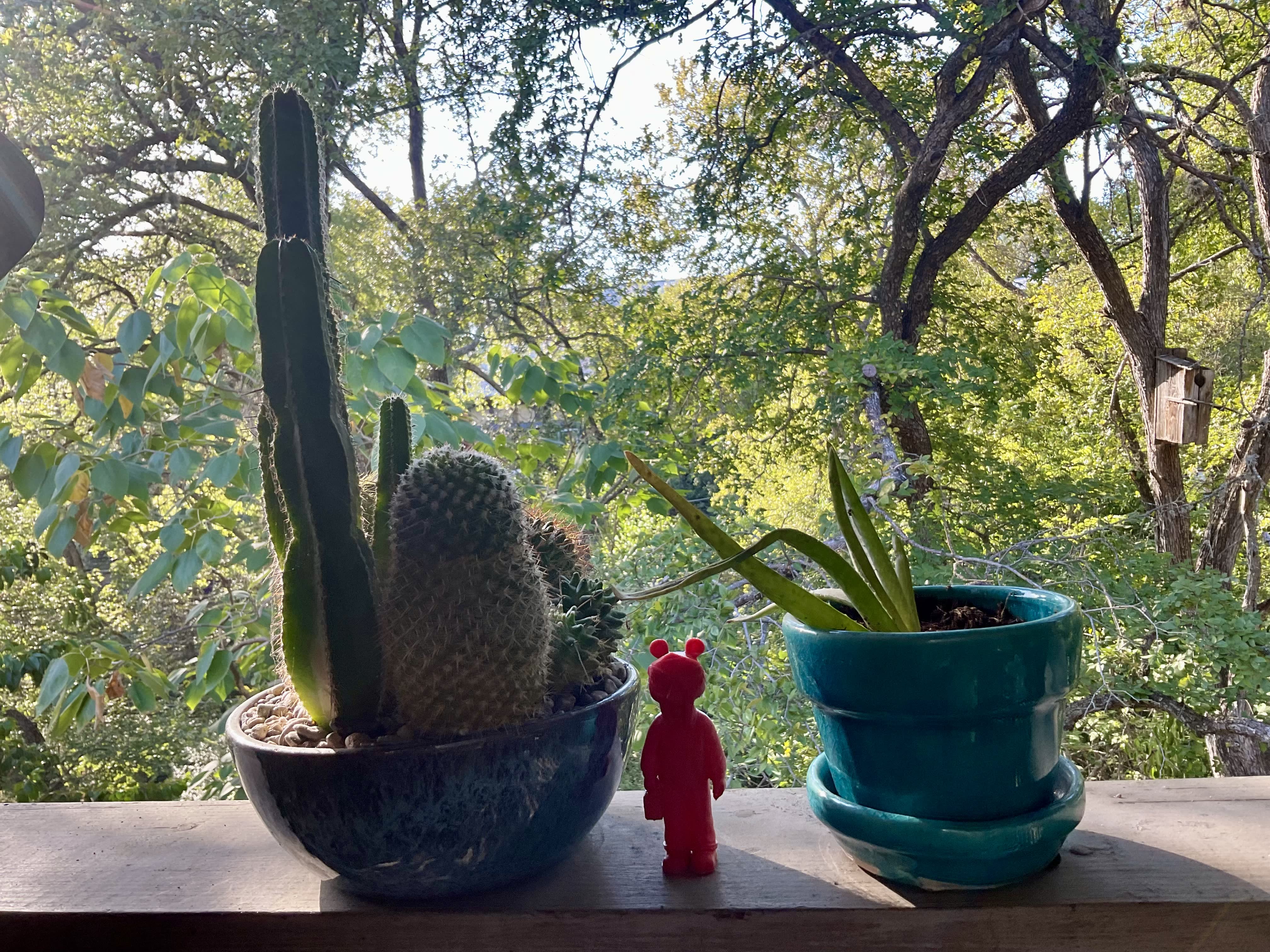 A small red Aardvark x Metal Face sculpture displayed among cactus plants in a sunlit garden